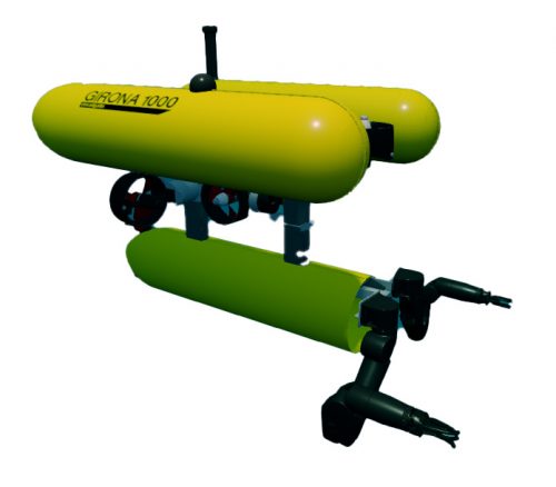 AUV Intervention